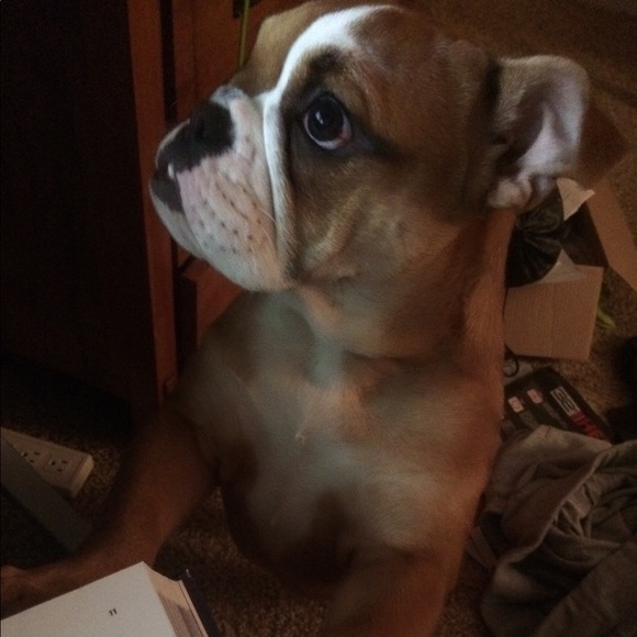 Meet your Posher, Aaron - Picture 1 of 1